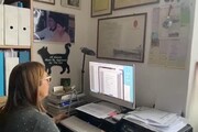 Coronavirus, la lezione di matematica online