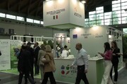 Ismea al Macfrut col programma 'Frutta e verdura nelle scuole'