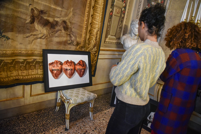 Milano omaggia Oliviero Toscani a Palazzo Reale con le sue foto