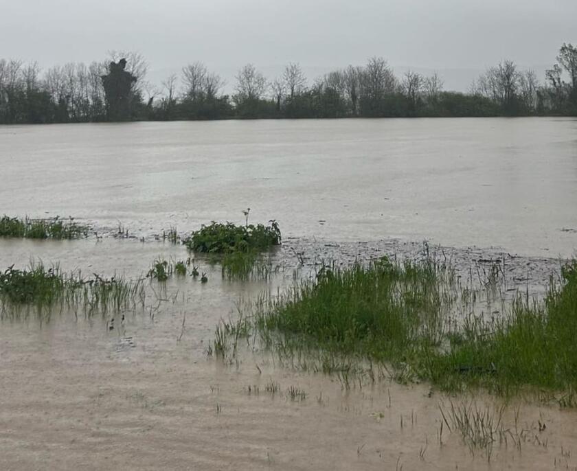 Coldiretti, campi sott'acqua in Piemonte oltre 2 milioni i danni