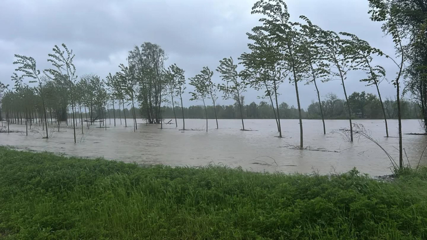 Maltempo, chiuso nel Casalese ponte sul Sesia