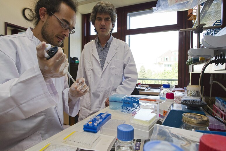 - RIPRODUZIONE RISERVATA
