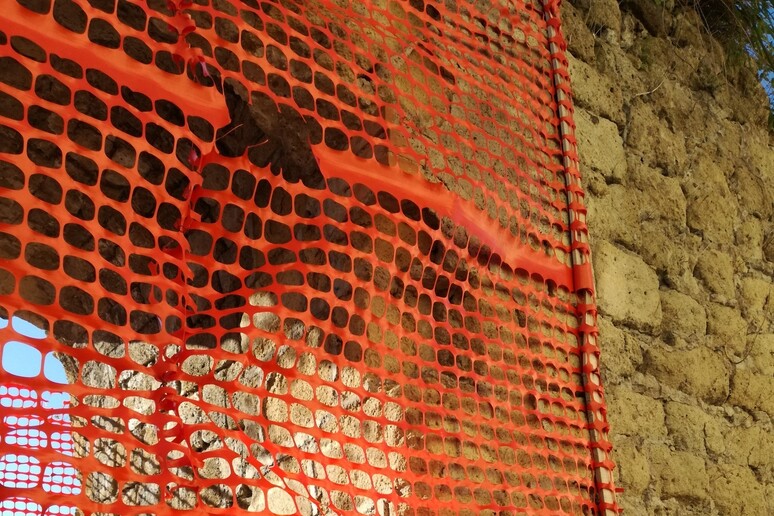 - RIPRODUZIONE RISERVATA