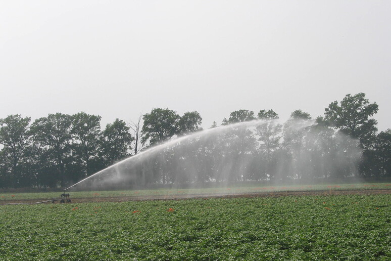 Agricoltura: Canale Emiliano Romagnolo, acqua dal primo marzo - RIPRODUZIONE RISERVATA