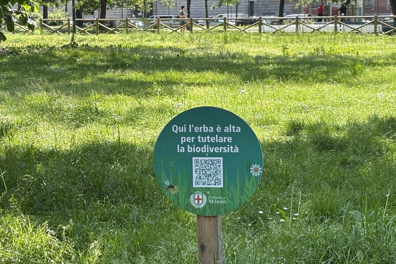 - RIPRODUZIONE RISERVATA