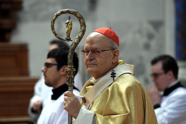 Il cardinale Peter Erdo © ANSA/EPA