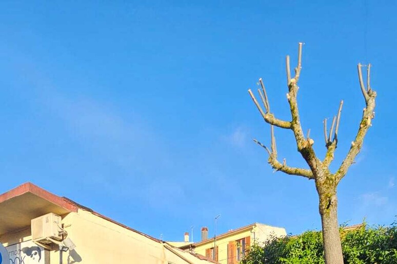 - RIPRODUZIONE RISERVATA
