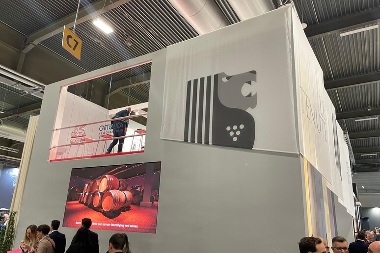 Generali al Vinitaly punta alla sostenibilità per le imprese vitivinicole - RIPRODUZIONE RISERVATA