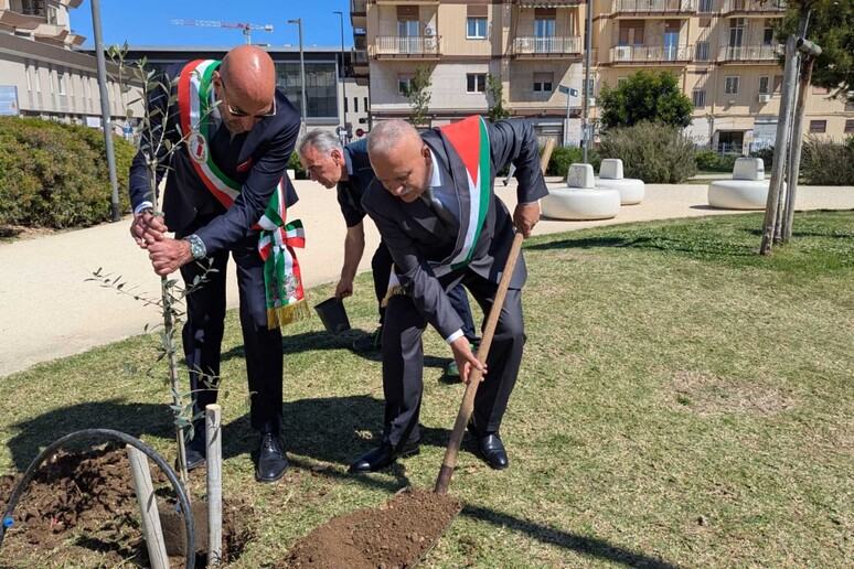 - RIPRODUZIONE RISERVATA