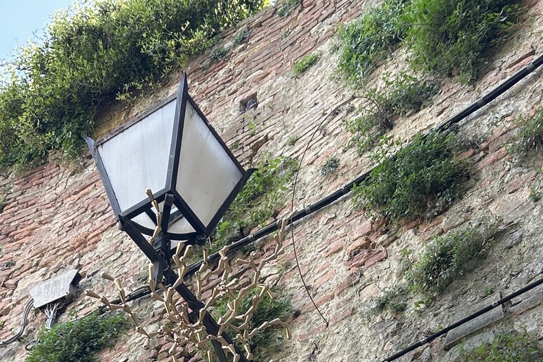 - RIPRODUZIONE RISERVATA