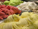 Gelato (ANSA)