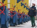 Arriva il primo sì dell'Eurocamera, più flessibilità sugli stock di gas (ANSA)