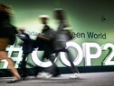 Cop29, il debutto dell'Ia nelle politiche sul clima (ANSA)