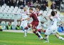 Torino-Catania 4-1