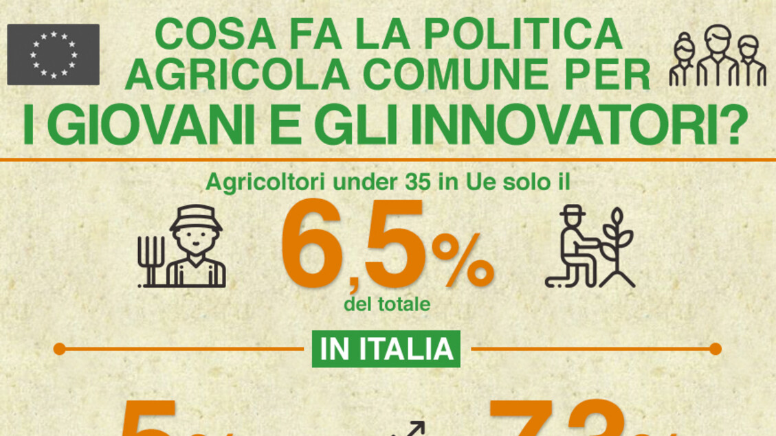 INFOGRAFICA - La Pac per giovani e innovatori - RIPRODUZIONE RISERVATA