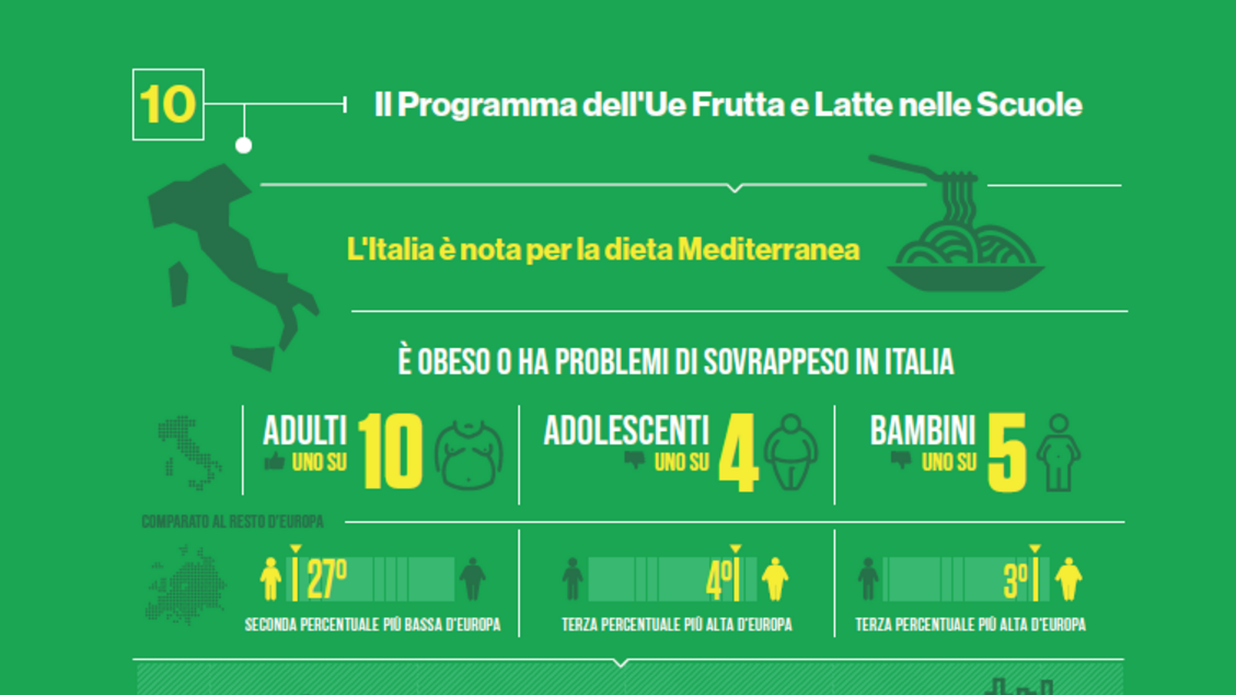 Il programma dell 'Ue frutta e latte nelle scuole - RIPRODUZIONE RISERVATA