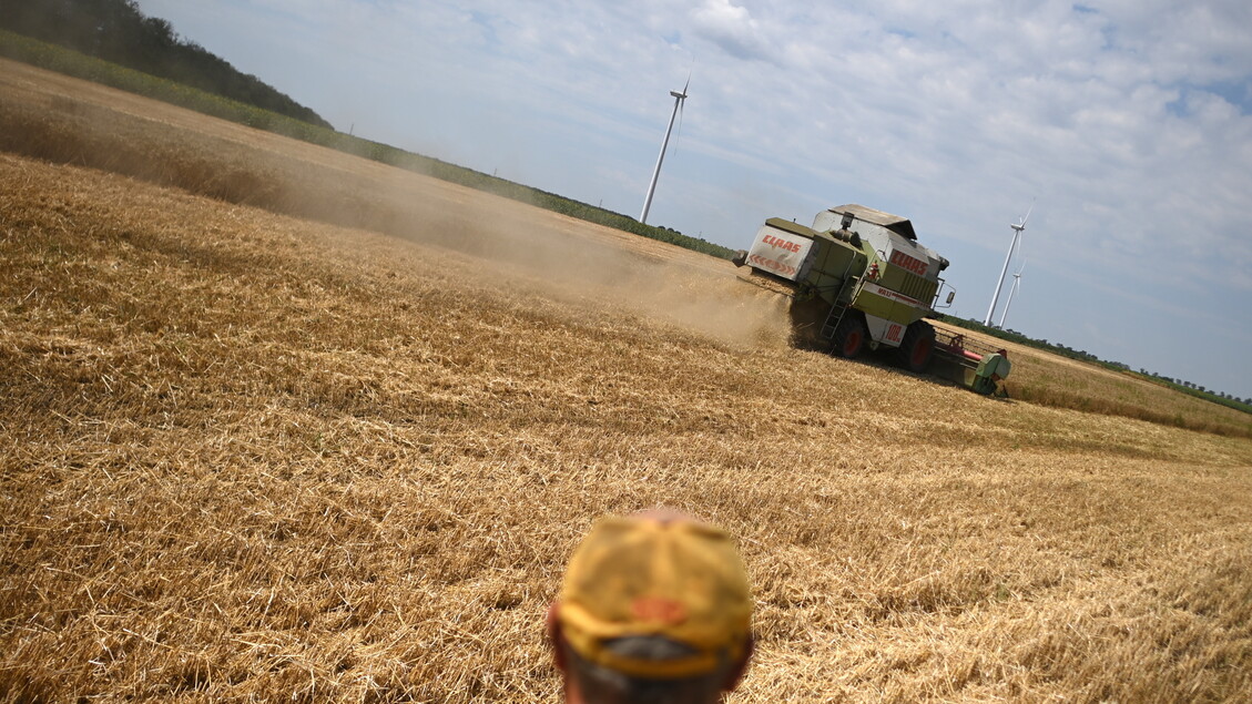 - RIPRODUZIONE RISERVATA