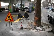 Del Grosso (Bari) grave in ospedale dopo incidente