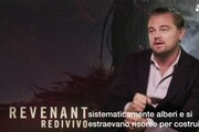 DiCaprio, un discorso per l'Oscar? Non ho niente di pronto