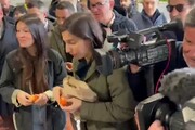 Elezioni Sardegna, Schlein contestata da una pensionata al mercato di Cagliari