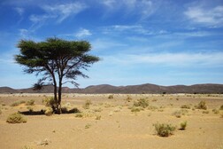 Madrid conferma sequestro cittadino spagnolo nel sud Algeria