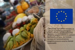 L'Ue lancia il dialogo annuale sul cibo, lotta ad alimenti ultraprocessati