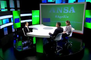 Il forum ANSA Agri Ue sui programmi Ue per frutta, verdura e latte nelle scuole (ANSA)