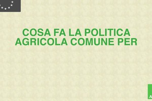 Cosa fa la Pac per il pianeta? (ANSA)