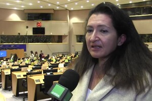 Sviluppo, Carparelli: "Alle Regioni servono piu' consulenti specializzati" (ANSA)