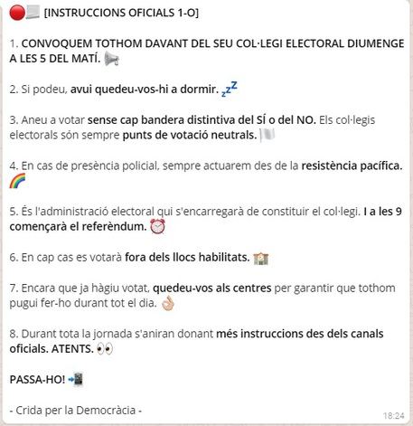 Le istruzioni che circolano via whats app sul voto © Ansa