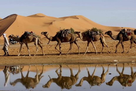 Sahara, alluvione nel deserto