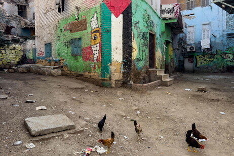 Cairo street art in solidarity with Palestinian people as October 7th anniversary approaches