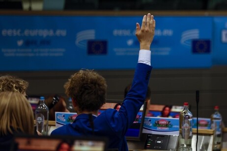 Il Comitato economico e sociale europeo