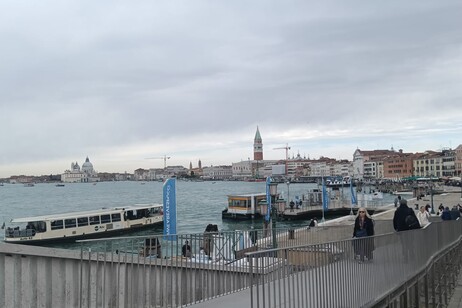 Vespucci a Venezia