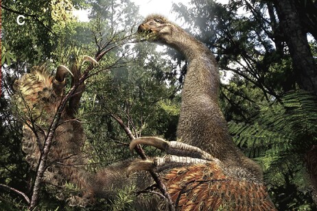 Ricostruzione artistica dell’aspetto del dinosauro Duonychus tsogtbaatari (fonte: Kobayashi, Yoshitsugu et al., iScience 2025)&nbsp;
