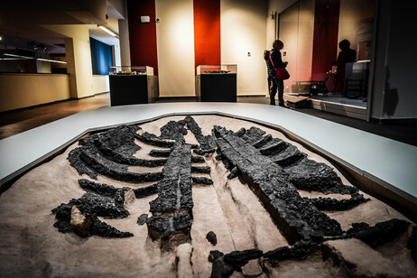 Mostra: 'Il legno che non bruciò ad Ercolano'
