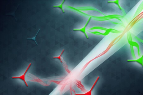 Rappresentazione grafica della sonda di luce utilizzata per esplorare le aree più profonde del cervello in modo non invasivo (fonte: IIT - Lecce)