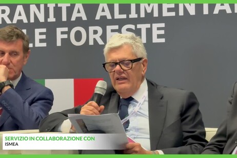 Vinitaly, partnership tra Ismea e Consorzio doc delle Venezie