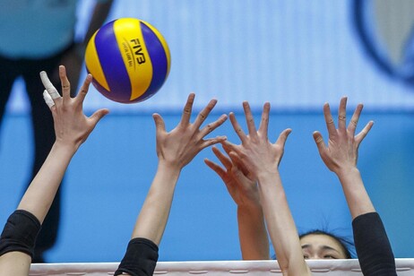 Pallavolo
