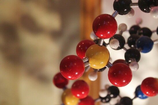 Particolare del modello del Dna nel museo di Storia naturale di Oxford (fonte: Charles Clegg ds Flickr CC BY-SA 2.0)