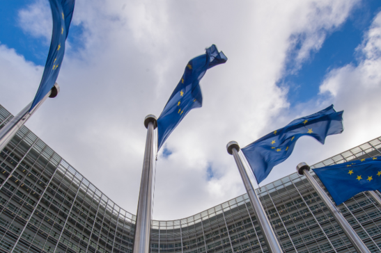 L'Europa apre ai ricercatori degli Stati Uniti con l'iniziative Choose Europe (fonte: Mauro Bottaro / European Union)