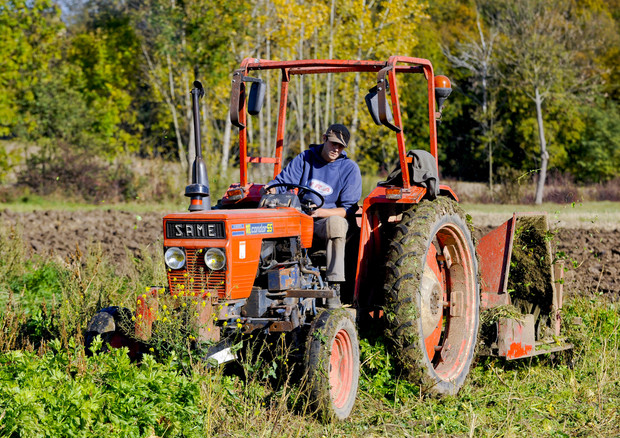 Ok Ue a piano aiuti Italia da 1,2 miliardi per agricoltura (ANSA)