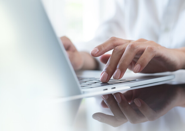 Navigazione online (ANSA)