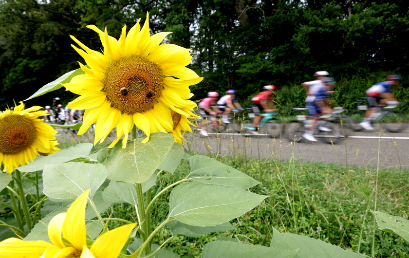 Tour de France 2023 - Stage 4 - RIPRODUZIONE RISERVATA