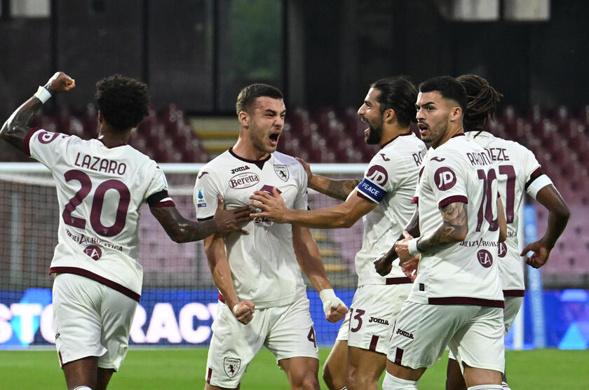 Soccer: Serie A; US Salernitana - Torino FC
