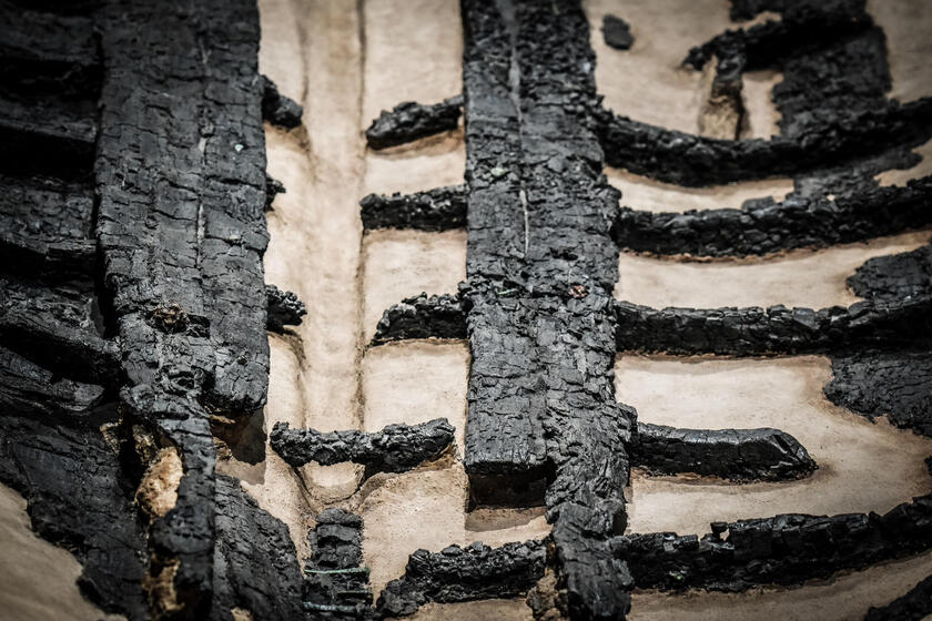Mostra: 'Il legno che non bruciò ad Ercolano'