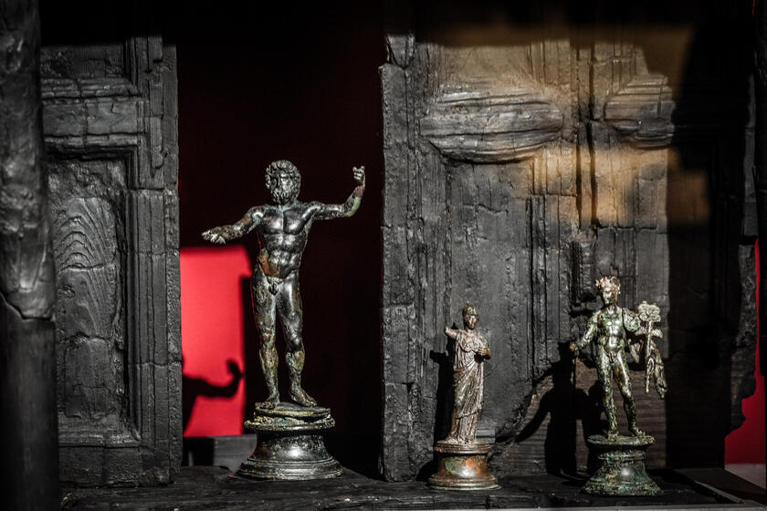 Mostra: 'Il legno che non bruciò ad Ercolano'