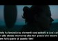 Venezia 2016, Amy Adams e Jeremy Renner tra gli alieni © ANSA