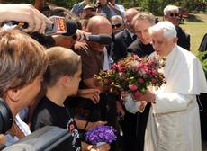 Le rose profumate, le preferite di Benedetto XVI