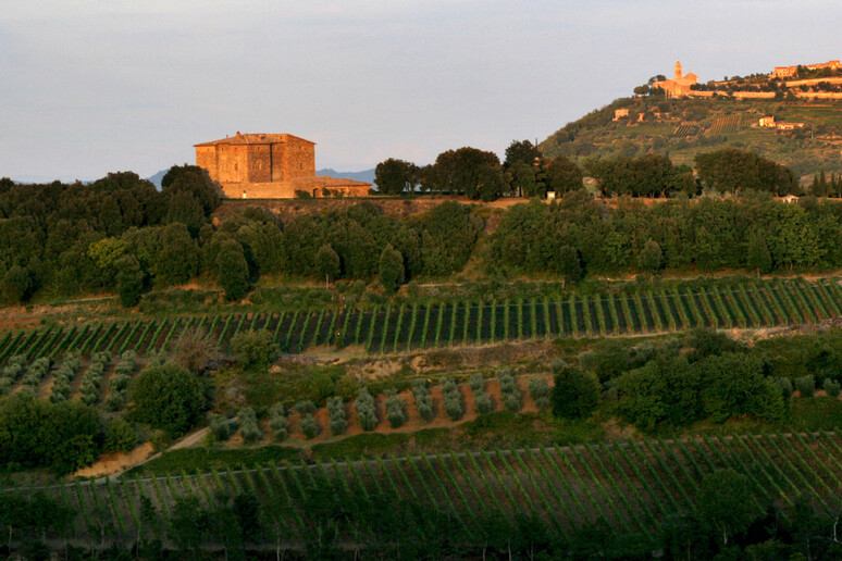 Montalcino - RIPRODUZIONE RISERVATA